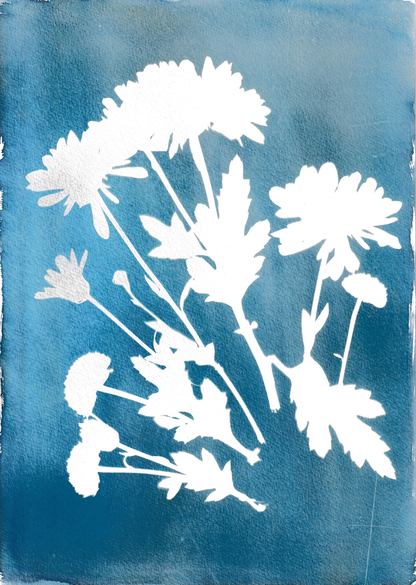 Flowers 1