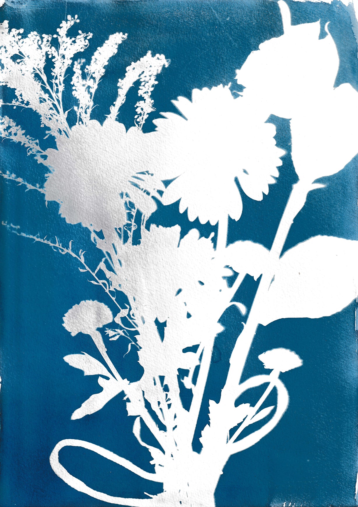 Flowers 2