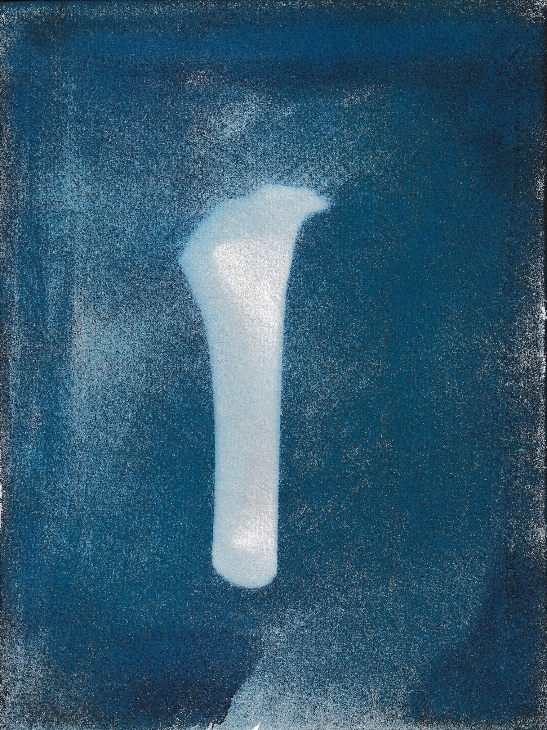 Bone 1