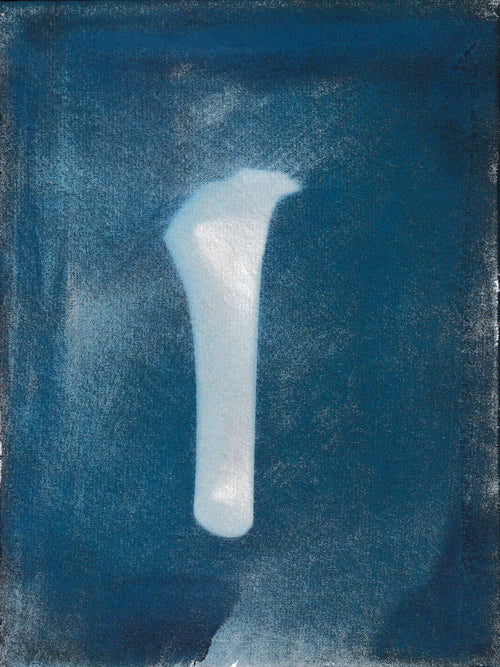 Bone 1