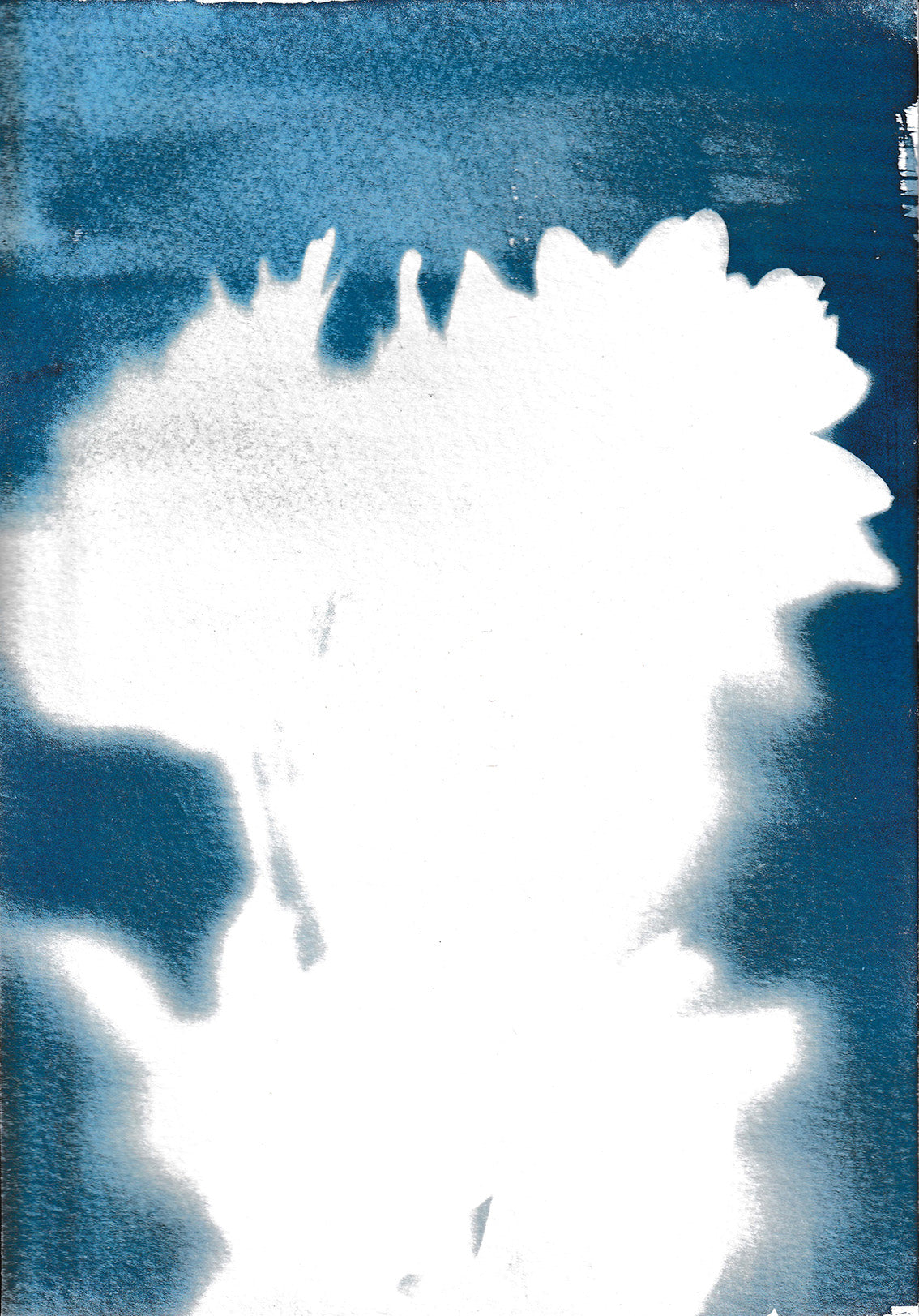Flowers 3